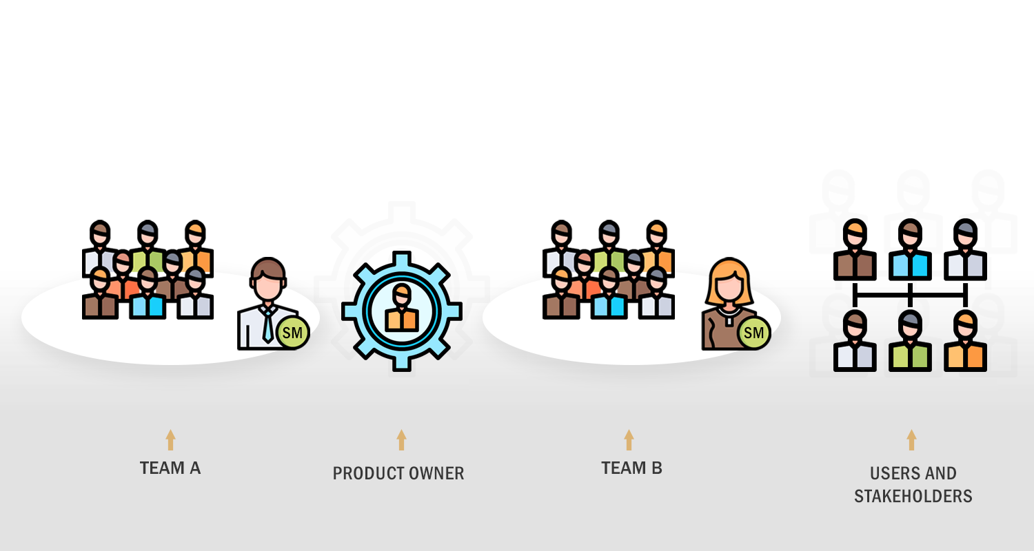 Scrum Team